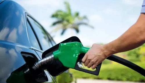 福建莆田系是什么意思