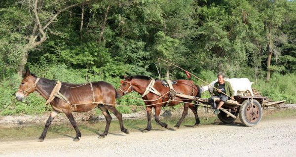 以前拉偏套是什么意思