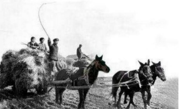 以前拉偏套是什么意思