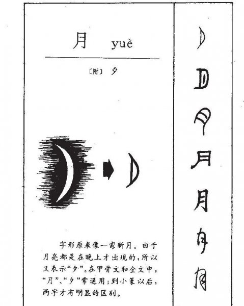 汉字演变过程七个阶段图片与介绍