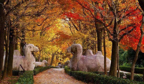 明朝灭亡朱家绝后了吗