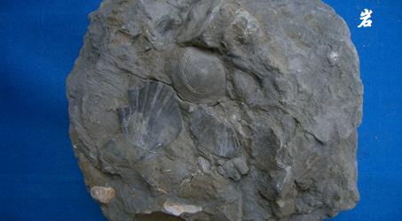 岩浆岩、沉积岩、变质岩的关系图与特征区别