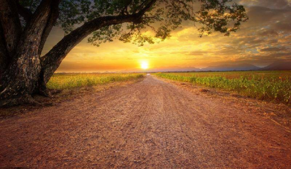 宣化上人讲毛前世因果