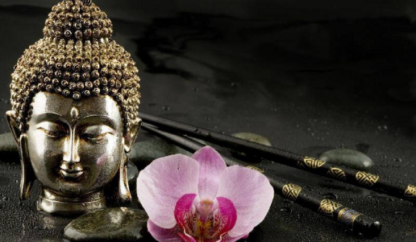 宣化上人讲毛前世因果