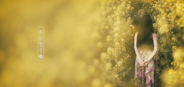 宣化上人讲毛前世因果