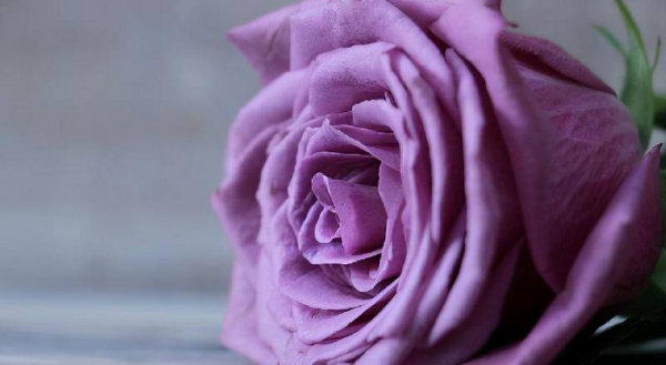 已婚男人特别在乎情人的表现