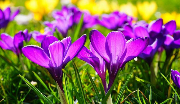 已婚男人特别在乎情人的表现