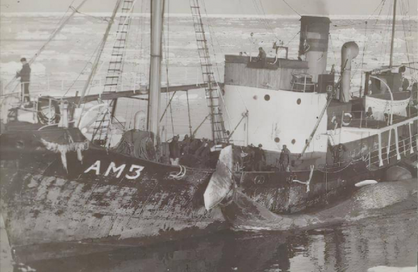 世界上最大的鲸鱼是什么鲸鱼