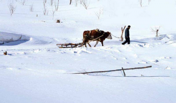 大雪节气的含义是什么