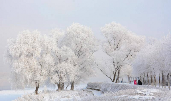 大雪节气的含义是什么