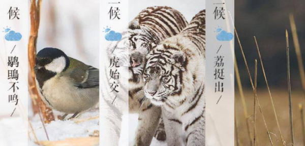 大雪节气的含义是什么