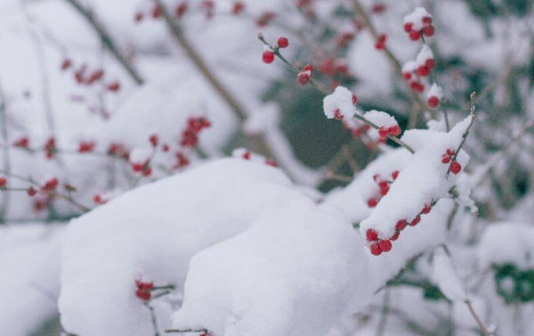 大雪节气的含义是什么
