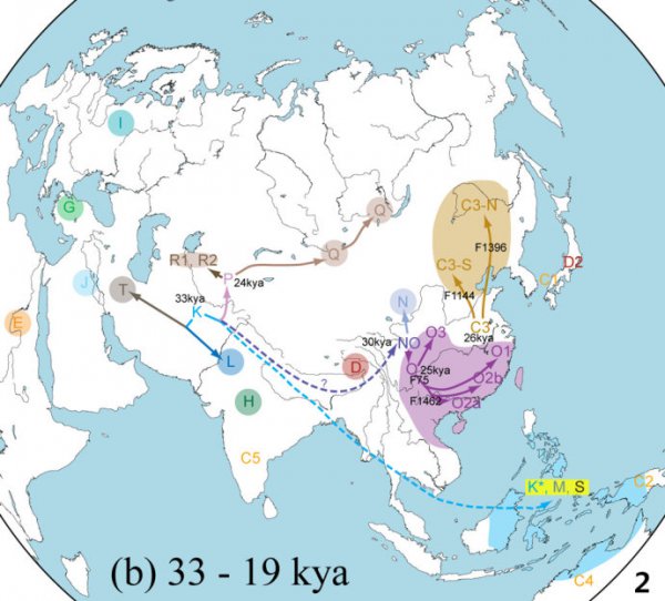 中国人独有的基因o3