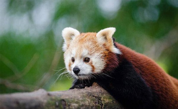 分手后冷静几天挽回比较好