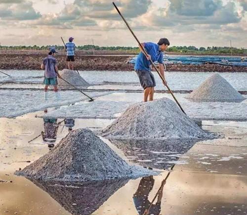 重农抑商什么时候开始在全国推行