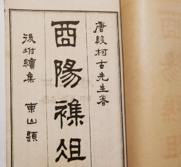 孙思邈是哪个朝代的人