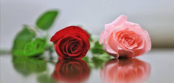 如何用一段话挽回一段感情