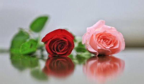 怎样去引导一个男人来爱自己