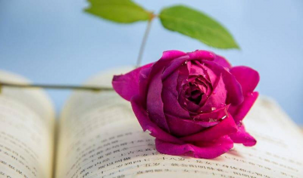 怎样去引导一个男人来爱自己