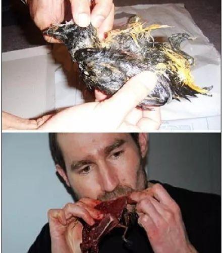 世界上最臭的食物