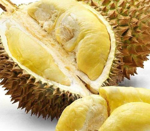 世界上最臭的食物