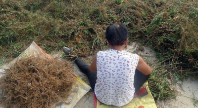 过年不回家做什么工作赚钱 春节不能回家的职业