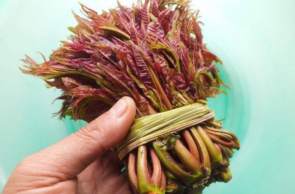 过年不回家做什么工作赚钱