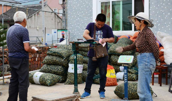 过年不回家做什么工作赚钱