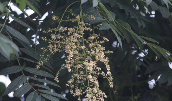 过年不回家做什么工作赚钱