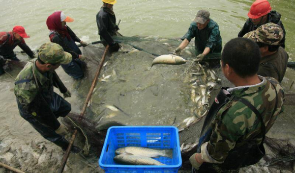 过年不回家做什么工作赚钱