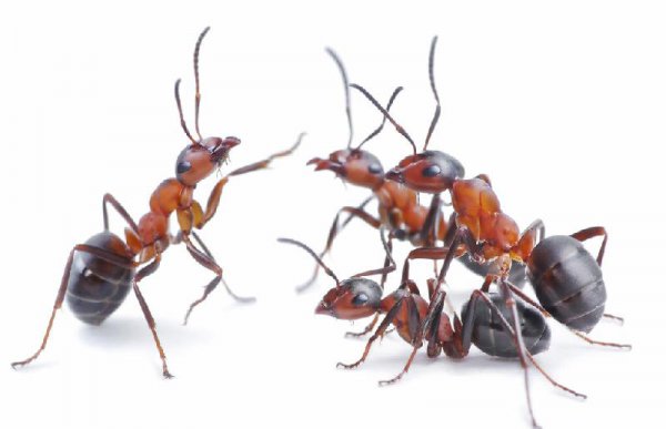 男人的一见钟情有多强烈