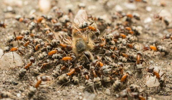 男人的一见钟情有多强烈