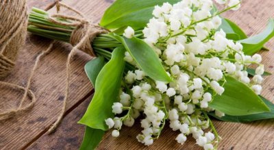 为什么贵气的人很干净 为什么贵人年少多面相清秀