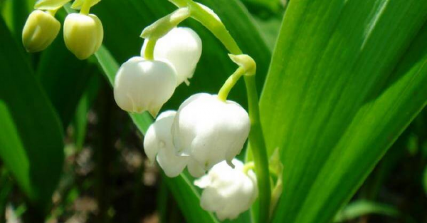 为什么贵气的人很干净