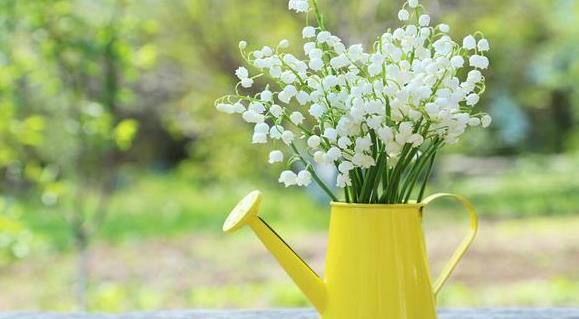 为什么贵气的人很干净