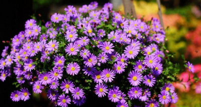 发现男人有外遇应该怎么处理 发现老公有出轨迹象怎么办