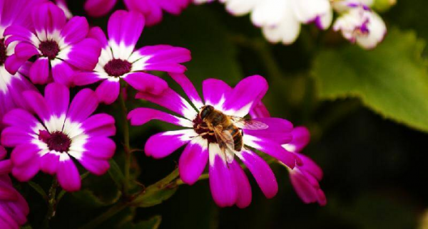 发现男人有外遇应该怎么处理