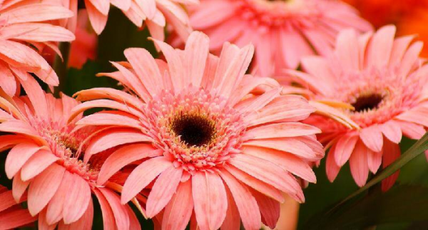 发现男人有外遇应该怎么处理