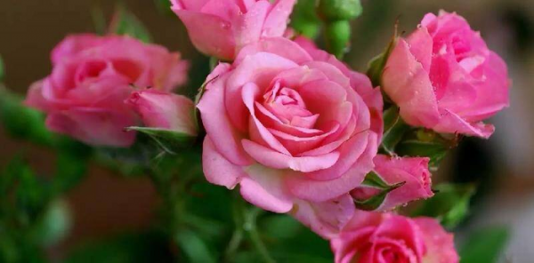 发现男人有外遇应该怎么处理