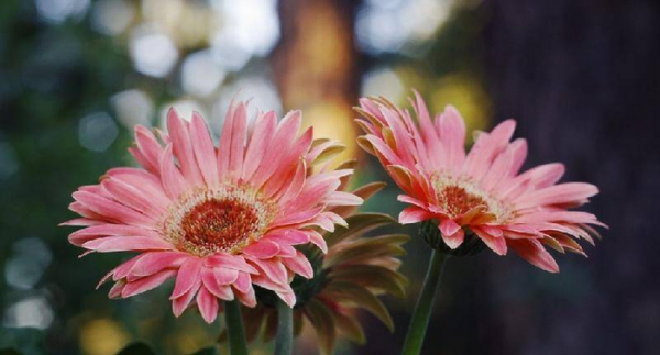 发现男人有外遇应该怎么处理