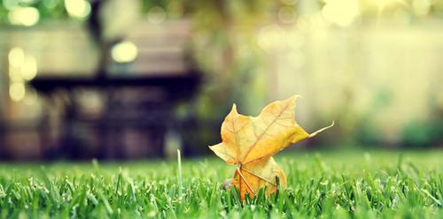 不争不抢的人其实很厉害