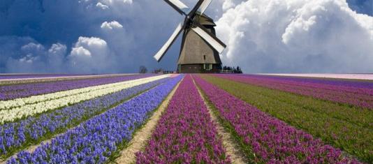 不争不抢的人其实很厉害