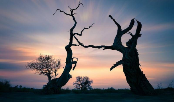 李叔同最有名的一句话感悟