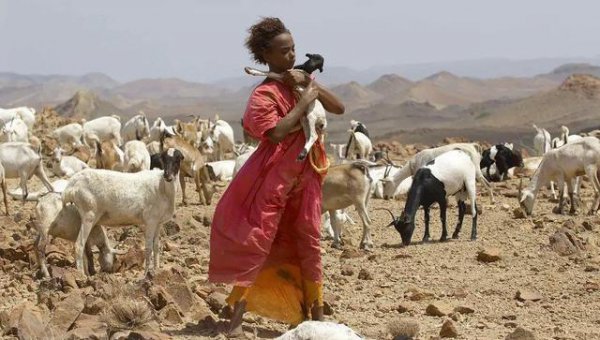 女性割礼后长什么样