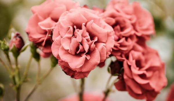 男人有外遇又不肯离婚怎么办