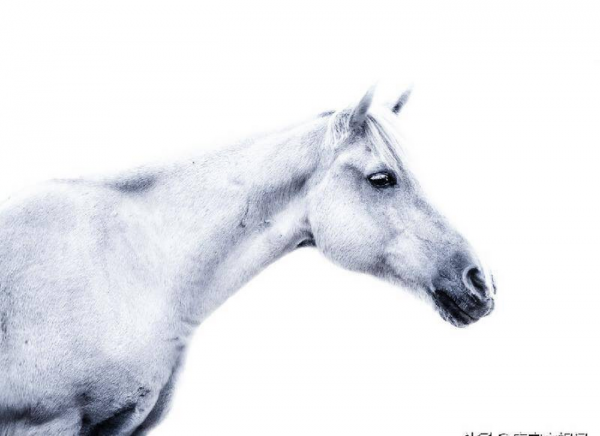 白马非马的哲学原理矛盾