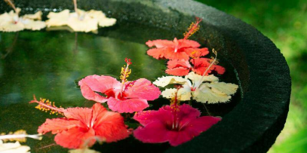 想知道老婆出轨最直接的方法