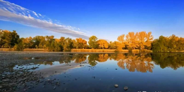 赵姬最后的下场是什么结局