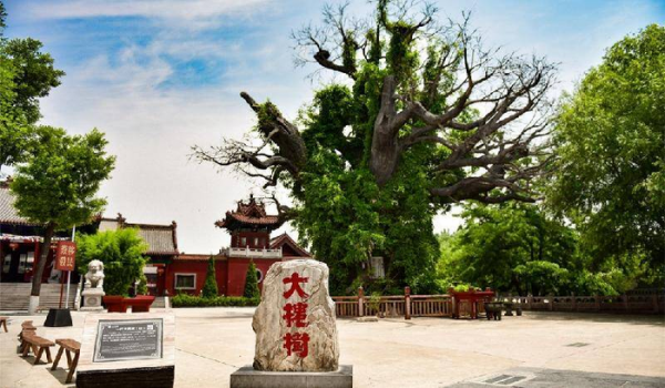 小脚趾甲两瓣是哪族人