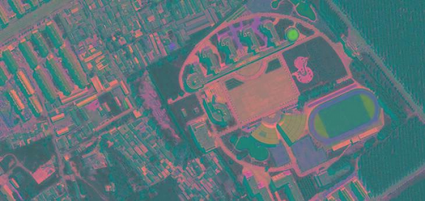 比较冷门专业但前景火爆